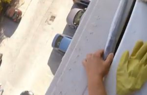 Oamenii dintr-un apartament din zona Pipera auzeau zi și noapte zgomote ciudate din spatele aparatului de aer condiționat de afară. Într-o zi, au decis să se uite să vadă ce e și au încremenit: Erau peste 50!