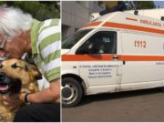 Loial până la moarte. Un câine a murit la Suceava, apărându-şi stăpânul de hoţii care intraseră în casă