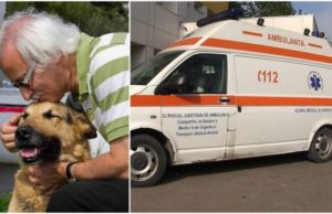 Loial până la moarte. Un câine a murit la Suceava, apărându-şi stăpânul de hoţii care intraseră în casă