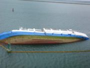 Majoritatea oilor de pe nava scufundată în Portul Midia au murit, după 48 de ore de la naufragiu