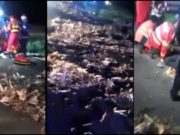 VIDEO | Familie distrusă pe un drum din Brăila. Mama, tatăl şi fiul lor, spulberaţi de un şofer turc