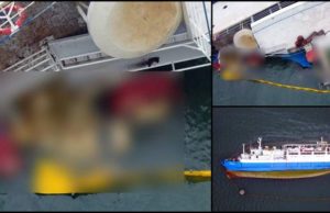 Imagini dramatice cu nava plină cu 14.000 de oi, scufundată în Midia: „Mii de cadavre plutesc pe apă. Nu s-a încercat salvarea niciunui animal”