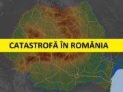 In Romania se taie 38,6 milioane de metri cubi de lemn, cu 20 de milioane peste cifrele oficiale