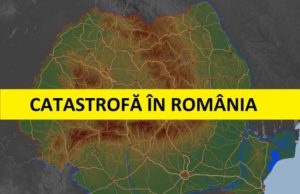 In Romania se taie 38,6 milioane de metri cubi de lemn, cu 20 de milioane peste cifrele oficiale