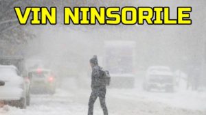 ninsori-text--crop-1575021608