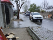 Principalul suspect în cazul tâlhăriilor din Alexandria a fost eliberat condiţionat din închisoare în luna mai