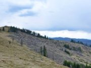 MUNTELE GODEANU A RĂMAS FĂRĂ PĂDURE, IAR URMELE CATASTROFELOR SE VĂD DIN SATELIT