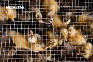 5382754-mediafax-foto-andrei-nacu