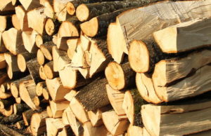 Romsilva a vândut peste 1 milion de metri cubi de lemn. Prețul cu care se vând lemnele