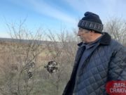 Laptele, mai ieftin decât apa minerală. Vânzări slabe în perioada sărbătorilor pentru producătorii doljeni