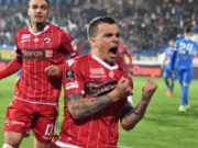 Câine, câine, dar nu chiar până la moarte!