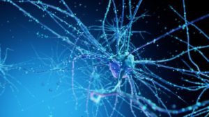 YTAwZGRjNDIwMjUxZTE4MzE0ZjA3MDZiYjQ1MDM=.thumb