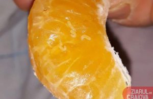 Clementine cu viermi într-un supermarket din Craiova