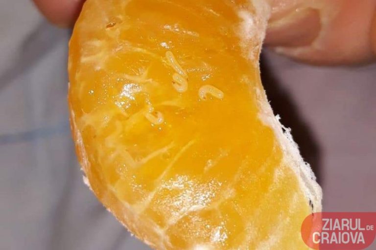Clementine cu viermi într-un supermarket din Craiova