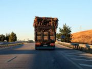 Metodă incredibilă folosită de mafia lemnului pentru falsificarea documentelor de transport