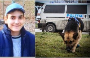 Apel urgent pentru găsirea unui copil dispărut fără urmă de pe un bulevard din Timişoara