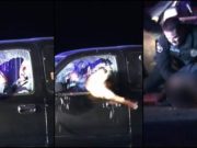 VIDEO | Un câine ofiţer a zburat prin geamul unei mașini, pentru a imobiliza un șofer fugar