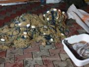 Captură record a Gărzii de Coastă, după cinci percheziţii efectuate la suspecţi de braconaj
