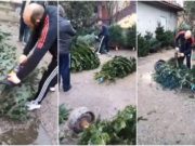 Oameni revoltaţi la Sibiu, după ce un vânzător furios a tăiat cu drujba toţi brazii nevânduţi