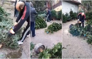 Oameni revoltaţi la Sibiu, după ce un vânzător furios a tăiat cu drujba toţi brazii nevânduţi