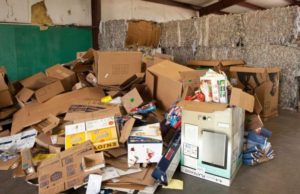 Doi iubiţi au aruncat din greșeală la gunoi aproape 18.000 de euro