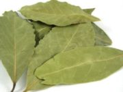 Frunzele de dafin ne scapă de varice, dureri articulare, dureri de cap, pierderi de memorie și multe altele