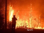 Numărul speciilor pe cale de dispariție de pe Terra a depășit 30.000. „Anul viitor va fi critic pentru viitorul planetei”