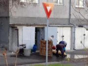 Un bărbat din vestul țării a tăiat porcul în spatele blocului!