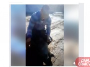 VIDEO | Cruzime fără margini la Cetate în Dolj. Doi localnici se ditrează copios chinuind un animal. Imagini care vă pot afecta emoțional
