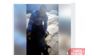 VIDEO | Cruzime fără margini la Cetate în Dolj. Doi localnici se ditrează copios chinuind un animal. Imagini care vă pot afecta emoțional