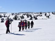 100 de accidente s-au produs la munte în ultimele 24 de ore. Avertismentul salvamontiștilor pentru turiști