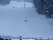 Mesaj Ro-Alert în Predeal! Doi urși au fost văzuți în zone pline de oameni