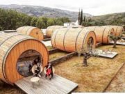 FOTO | Afacerea unui tânăr din Gorj: să ofere cazare în butoaie lângă plantaţia sa de mure.