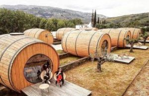 FOTO | Afacerea unui tânăr din Gorj: să ofere cazare în butoaie lângă plantaţia sa de mure.