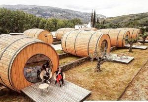 70589522-918744671799412-5565222698633658368-n