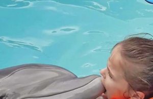 O fetiță autistă se vindecă datorită delfinilor