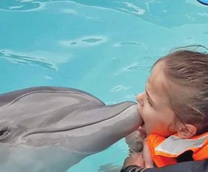 8-actu-1-delfin1-3col