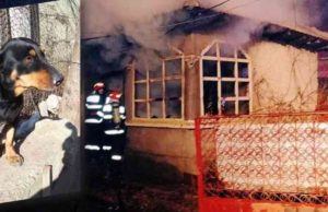 Căţeluşa Chira, vedetă în Teleorman după ce a salvat o familie din incendiu