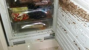 MWEwOWQ4Mzc0MGUzMjgyYzk0OGYyMTI1MDE2.thumb