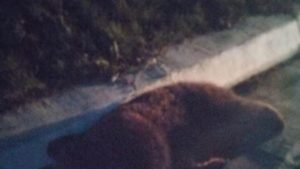 PTQ0MCZoYXNoPTIzOWE0Y2ZjMjBjNWY3YTJiZTM4Y2JmMDcwNDkyZDFh.thumb