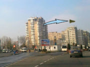 Un nou record! Un roman a aruncat bradul de pe geam 174 de metri!