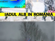 ANM, ÎN ALERTĂ!