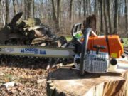 Nu au mai ajuns la cuțite: A încercat să-i taie capul vecinului cu drujba!