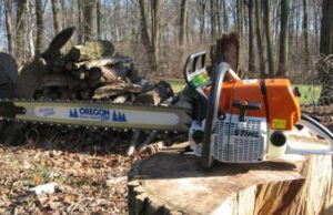 Nu au mai ajuns la cuțite: A încercat să-i taie capul vecinului cu drujba!