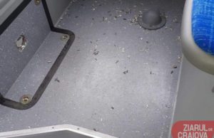 Nici nu au întrat bine pe traseu ca autobuzele noi au devenit coșul de gunoi al unor craioveni. Coji de semințe aruncate pe jos