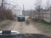 VIDEO | Căţel legat de o mașină și târât prin sat, în Alba. Stăpânul s-a ales cu dosar penal