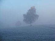 Alertă meteo de vreme severă imediată, emisă de ANM. Cod galben în mai multe judeţe
