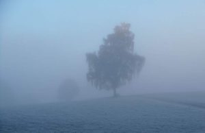 Alertă meteo de vreme severă imediată, emisă de ANM. Cod galben în mai multe judeţe