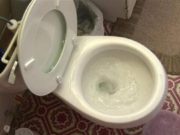 O femeie a aruncat restul de oțet în vasul de toaletă, dar în scurt timp a avut parte de o surpriză uriașă! Ce s-a întâmplat