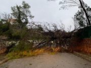 Româncă moartă de hipotermie, după ce furtuna Gloria a lovit estul Spaniei